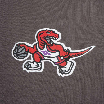 M&N NBA Toronto Raptors HWC Pastel Crew Hoodie ''Grey''