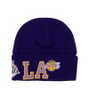 M&N NBA Los Angeles Lakers First Letterman Knit Hat ''Purple''