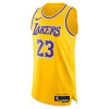 Nike Dri-FIT ADV NBA Authentic Los Angeles Lakers LeBron James Jersey ''Amarillo''