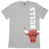 New Era Chicago Bulls T-Shirt ''Grey''