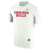 Nike NBA Chicago Bulls Essential T-Shirt ''Summit White''