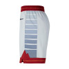 Nike Dri-FIT NBA Denver Nuggets City Edition Swingman Shorts ''Pure Platinum''