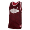 Nike Lebron x Liverpool FC DNA Jersey ''Burgundy Crush''