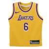 Nike NBA LA Lakers Icon Edition Box Jersey & Shorts Kids Set ''Lebron James''