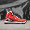 Nike Lebron XVII ''Uptempo''