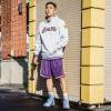 M&N CNY Los Angeles Lakers Hoodie ''Grey''