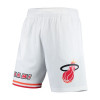 NBA Swingman Miami Heat Shorts