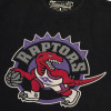 M&N NBA Toronto Raptors Worn Logo Wordmark T-Shirt ''Black''