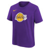 Nike NBA Logo Los Angeles Lakers Kids T-Shirt ''Purple''